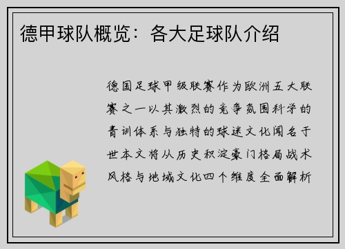 德甲球队概览：各大足球队介绍