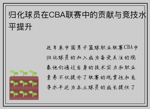 归化球员在CBA联赛中的贡献与竞技水平提升